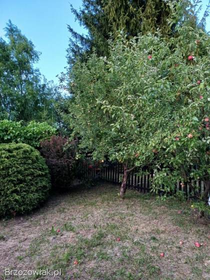 Działka ROD Krosno Palanka