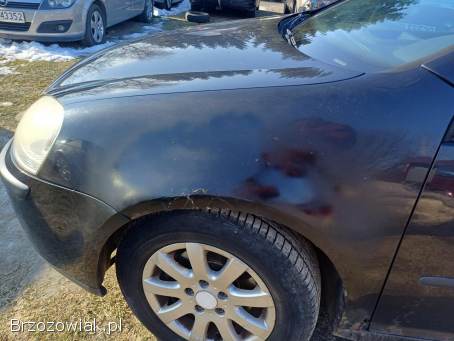 Volkswagen Golf 2004