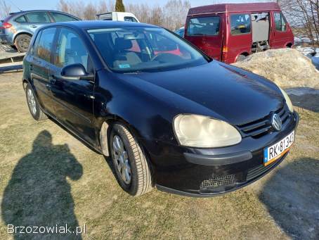 Volkswagen Golf 2004
