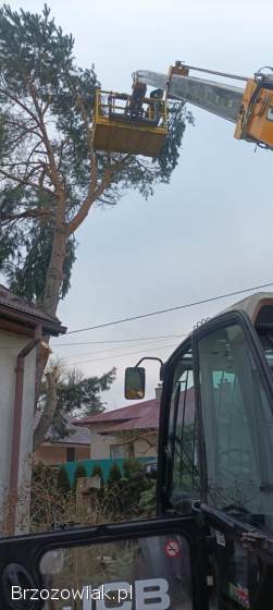 USŁUGI ŁADOWARKĄ TELESKOPOWĄ USŁUGI TRANSPORTOWE