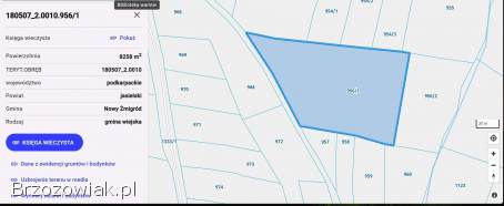 Sprzedam dużą działkę rolno-rekracyjna z dojazdem.  Beskid Niski.