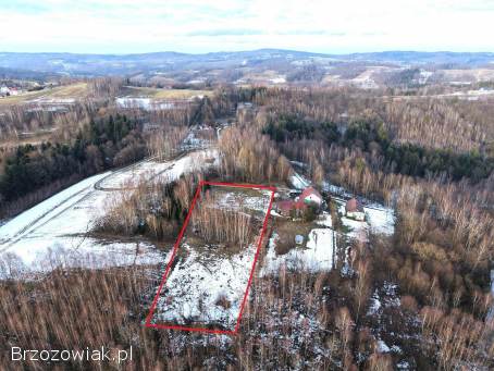 Działka przy lesie z możliwością zabudowy