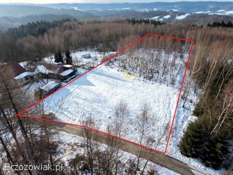 Działka przy lesie z możliwością zabudowy