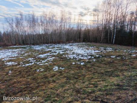 Działka przy lesie z możliwością zabudowy