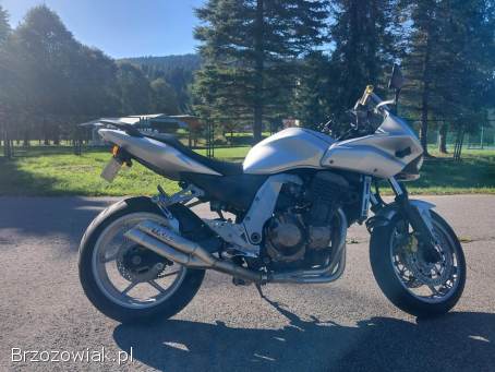 Kawasaki Z 750s 2006