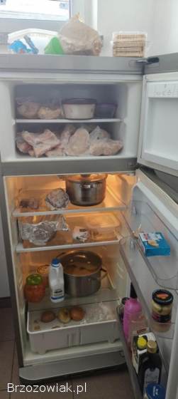 Sprzedam lodówkę z zamrażarką