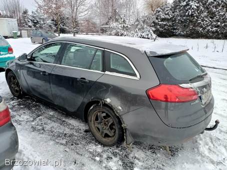 Opel Insignia 2.  0CDTI 160km 11 2011