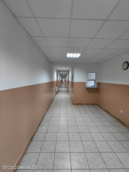 Do wynajęcia lokale biurowe w budynku przy ulicy Mięsowicza w Krośnie