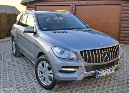 Mercedes-Benz ML 250 Bluetec 2011