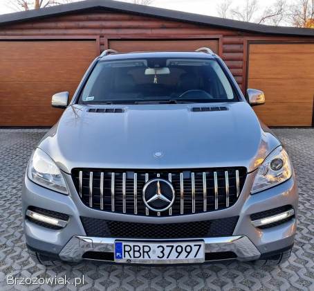 Mercedes-Benz ML 250 Bluetec 2011