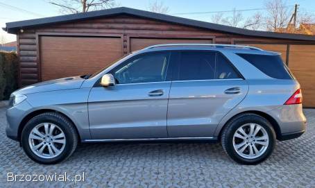 Mercedes-Benz ML 250 Bluetec 2011