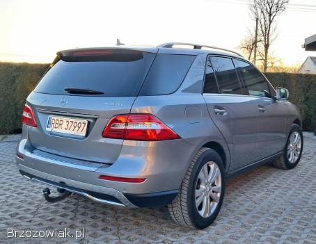 Mercedes-Benz ML 250 Bluetec 2011
