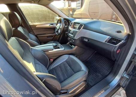 Mercedes-Benz ML 250 Bluetec 2011