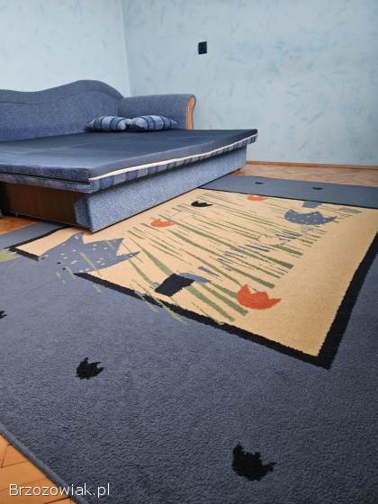 Łóżko rozkladane dywan lampa