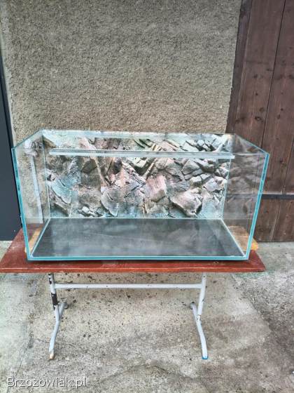 Akwarium Opti White 100x40x50 10mm 200L