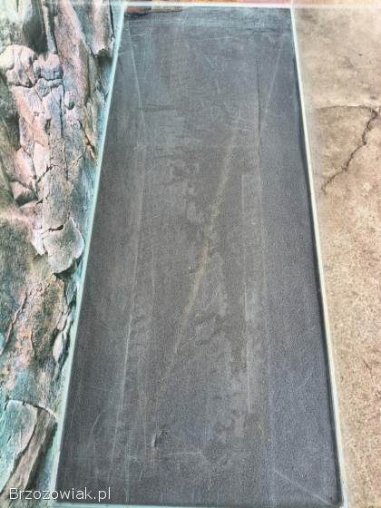 Akwarium Opti White 100x40x50 10mm 200L