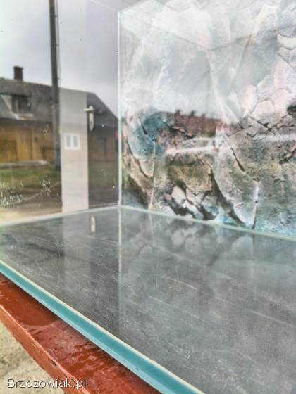 Akwarium Opti White 100x40x50 10mm 200L