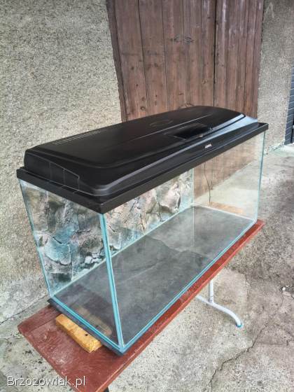 Akwarium Opti White 100x40x50 10mm 200L