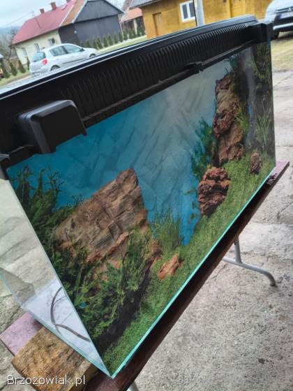 Akwarium Opti White 100x40x50 10mm 200L