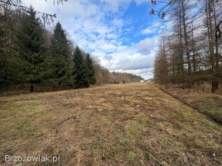 Działka w Tyrawie Solnej