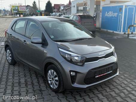 Kia Picanto Niski Przebieg!   2023
