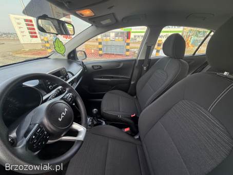 Kia Picanto Niski Przebieg!   2023