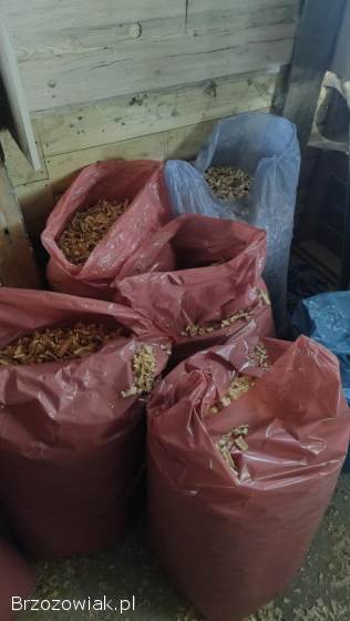 Sprzedam grube troty suche -  worek 120L