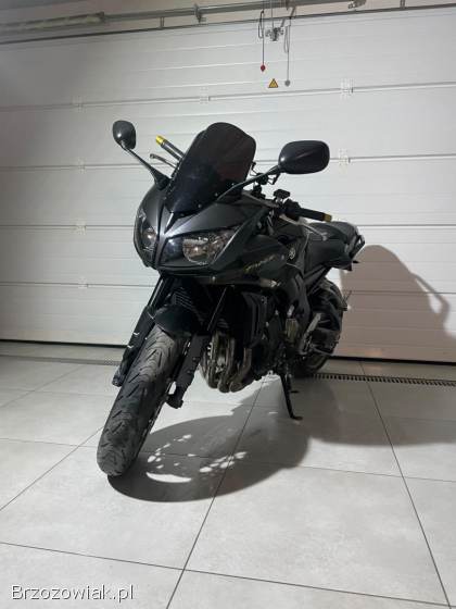 Yamaha FZ 2010