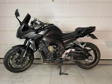 Yamaha FZ 2010