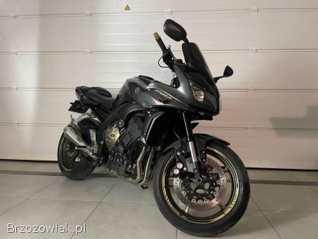 Yamaha FZ 2010