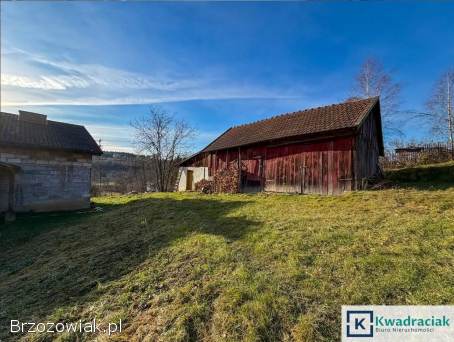 Święcany (gm.  Skołyszyn) – dom do generalnego remontu