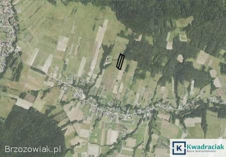 Brzezowa – działki rolne 95ar