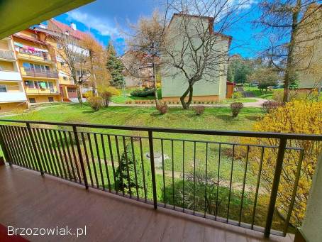 Na sprzedaż mieszkanie 50,  2 mkw.  na parterze,  w centrum Sanoka