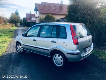 Ford Fusion 1.  4TDCI / 68KM 2004
