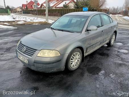 Volkswagen Passat 1.  9TDI 130km 04r 2004