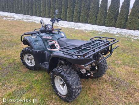 Quad TGB BLADE 425 CC Automat Przeprawowy 2X4 4X4 07 r