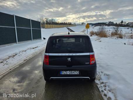 Peugeot 1007 Automat 2005