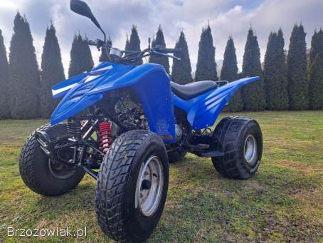 Quad ADLY ATV 150/200 Automat Rama XXL