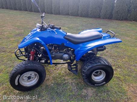 Quad ADLY ATV 150/200 Automat Rama XXL