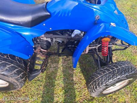 Quad ADLY ATV 150/200 Automat Rama XXL