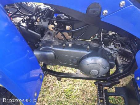 Quad ADLY ATV 150/200 Automat Rama XXL