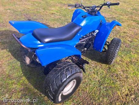 Quad ADLY ATV 150/200 Automat Rama XXL