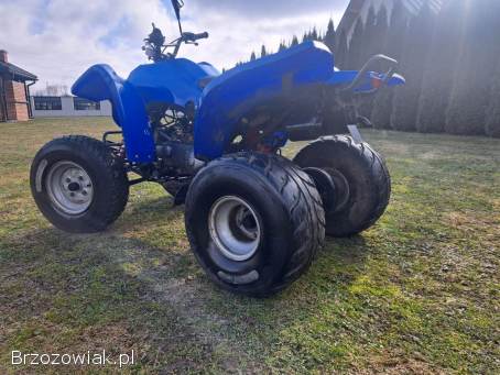Quad ADLY ATV 150/200 Automat Rama XXL