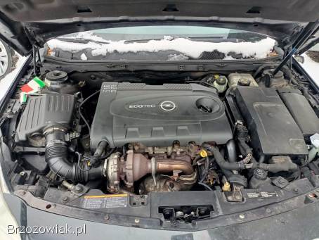 Opel Insignia 2.  0CDTI 130km 10 2010