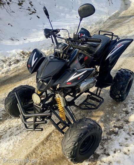 Quad 200 1+WSTECZNY AUTOMAT