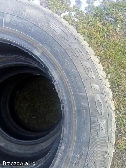 Opony Dębica 195/65 R 15