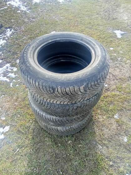 Opony Dębica 195/65 R 15