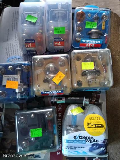 Żarówki zestaw 6v-12v.
