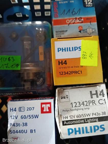 Żarówki zestaw 6v-12v.