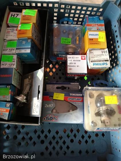 Żarówki zestaw 6v-12v.